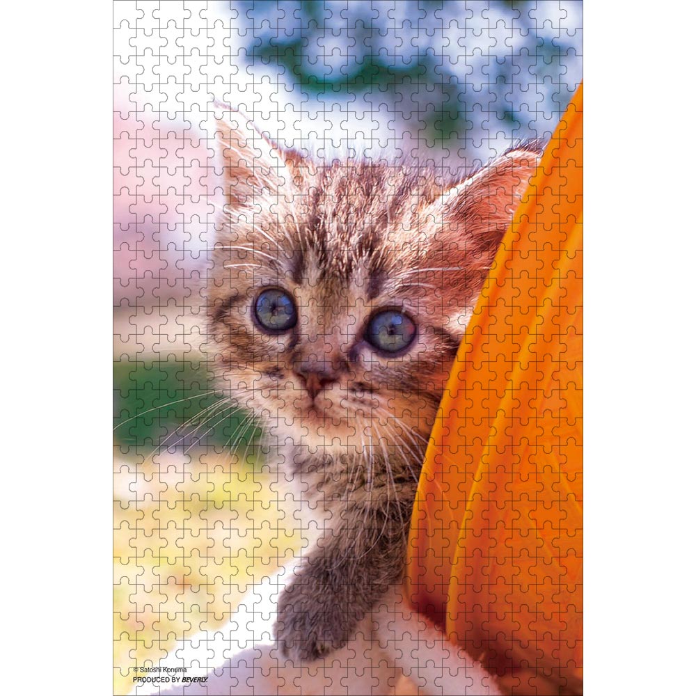 ジグソーパズル 猫 パズル 500ピース かくれんぼ 38×52cm | ジグソーパズル通販専門店【JPUZZ】