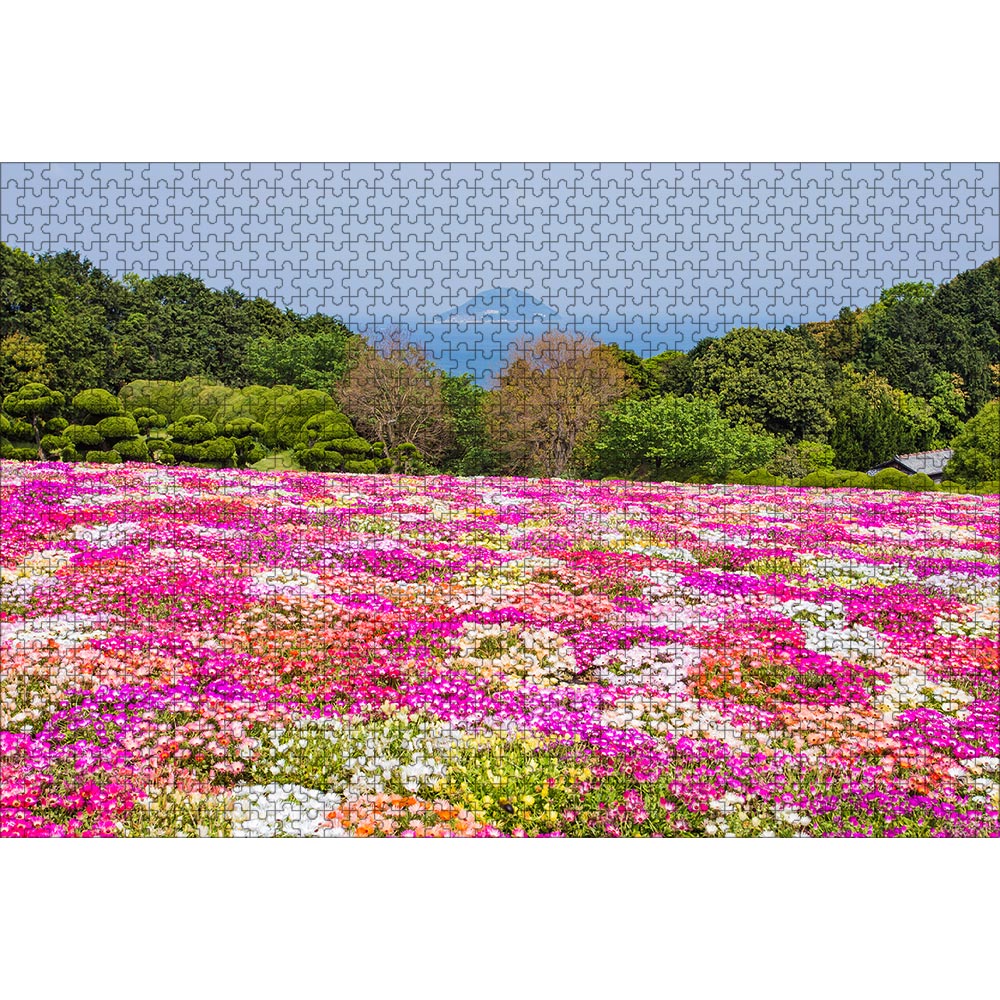 ジグソーパズル 花畑 1000ピース 50×75cm