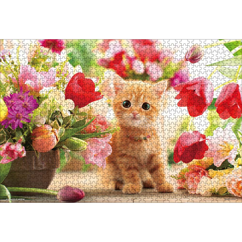 猫 パズル 1000ピース 50×75cm
