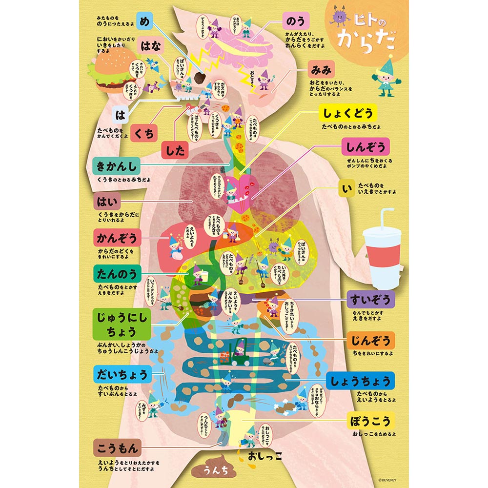 体の部位 パズル 120ピース 20×25cm
