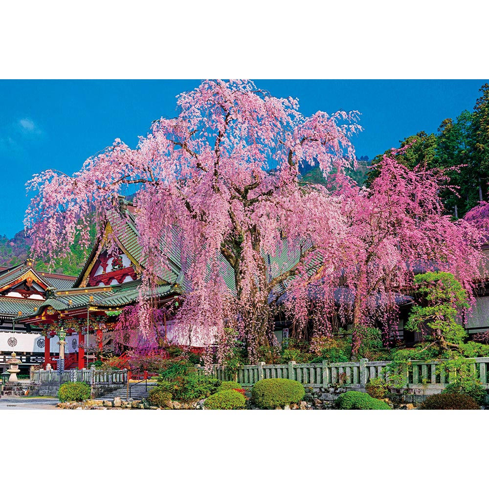 枝垂れ桜咲く久遠寺 ジグソーパズル 1000ピース 50×75cm