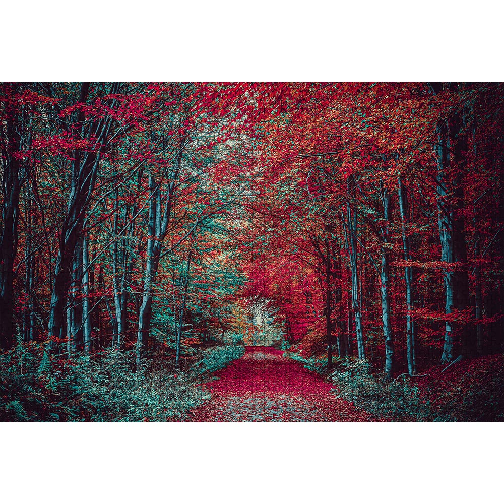 秋の森 ジグソーパズル 1000ピース 50×75cm
